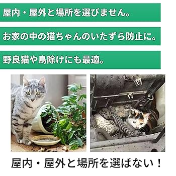 猫助様　同梱 楽天市場】＼マラソン限定☆最大2,000円OFFクーポン発行中
